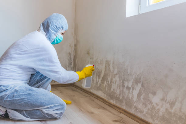 Licensed Crawl Space Mold Removal service in San Antonio, FL - WQB Mold Removal