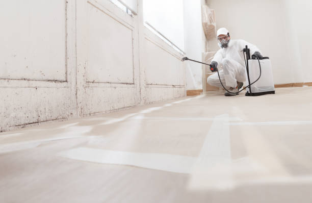 24/7 Emergency Crawl Space Mold Removal experts in San Antonio, FL