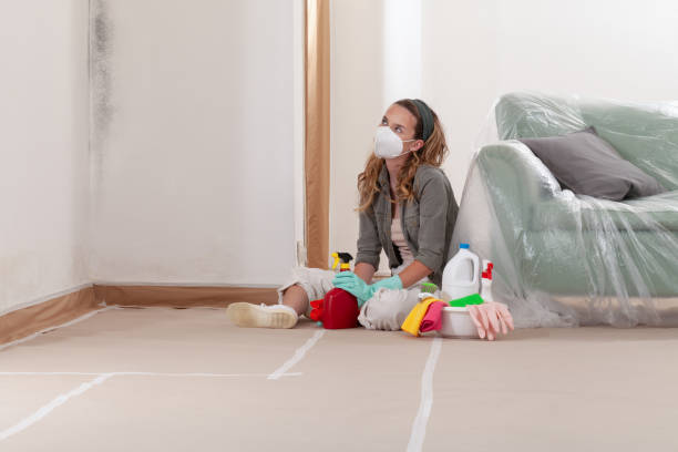 Reliable Crawl Space Mold Removal contractor in San Antonio, FL by WQB Mold Removal